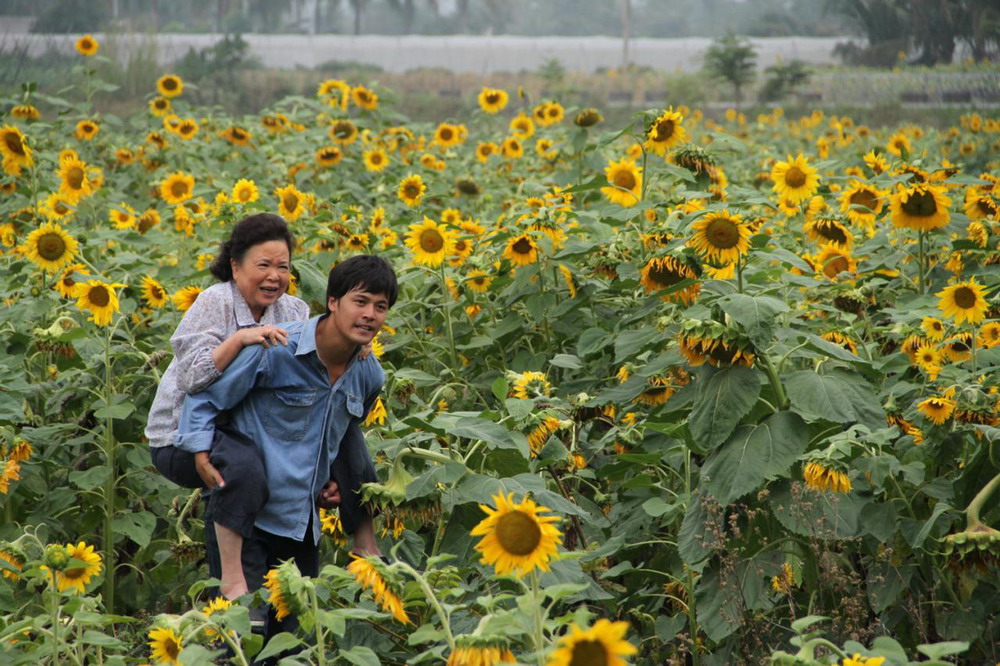 我不穷，我只是没钱：香蕉传奇剧照的剧照