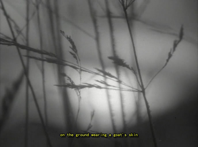 白山剧照的剧照