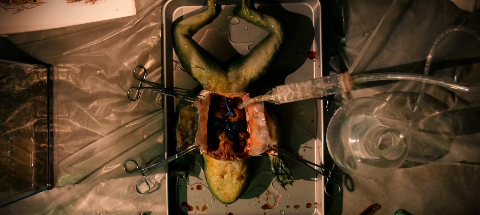 坏血剧照的剧照