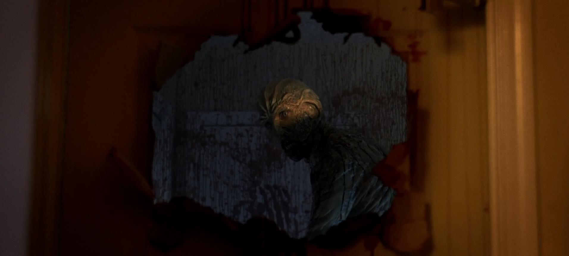 坏血剧照的剧照