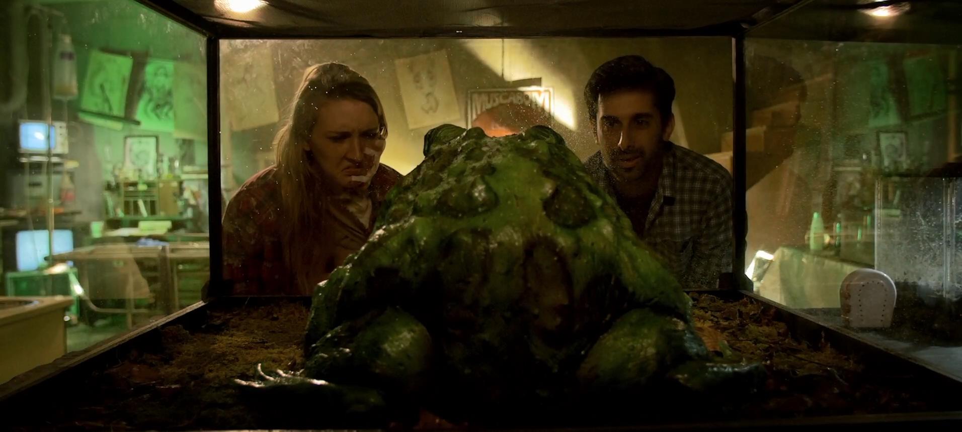 坏血剧照的剧照