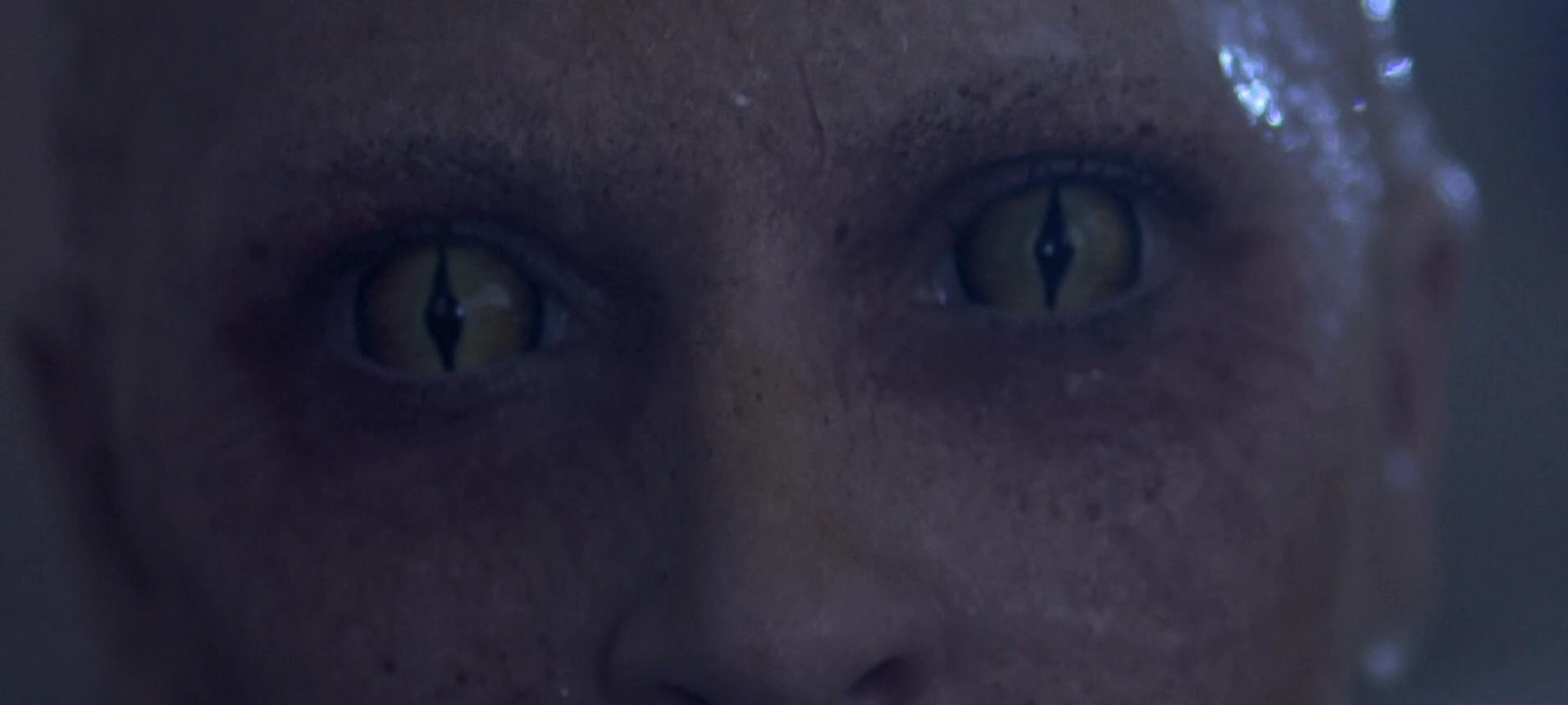 坏血剧照的剧照