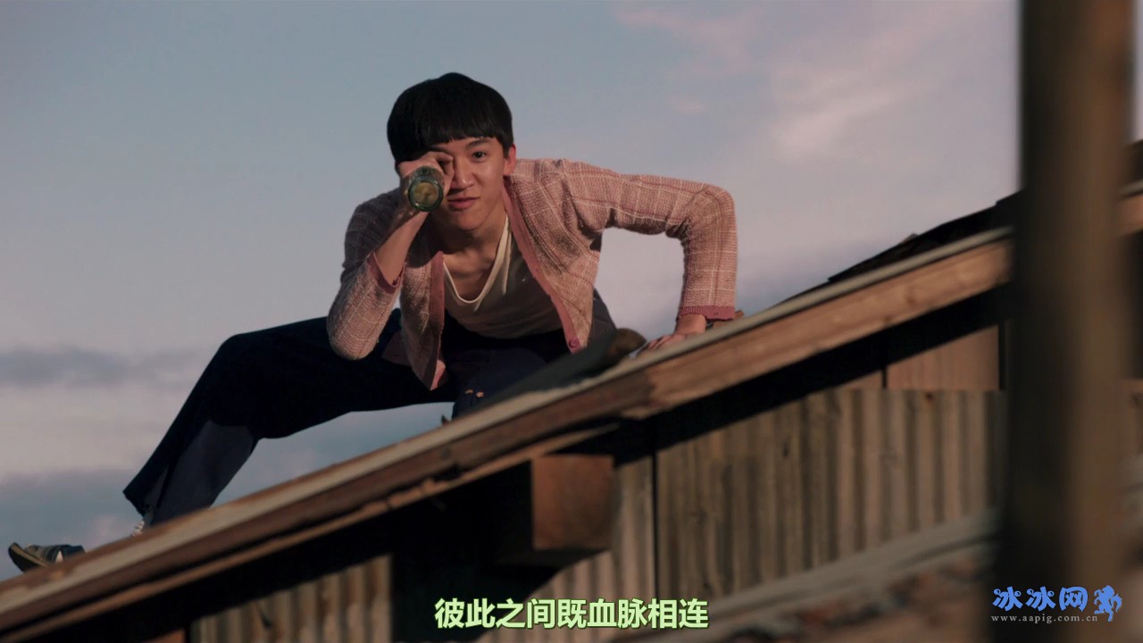 烧肉龙剧照的剧照