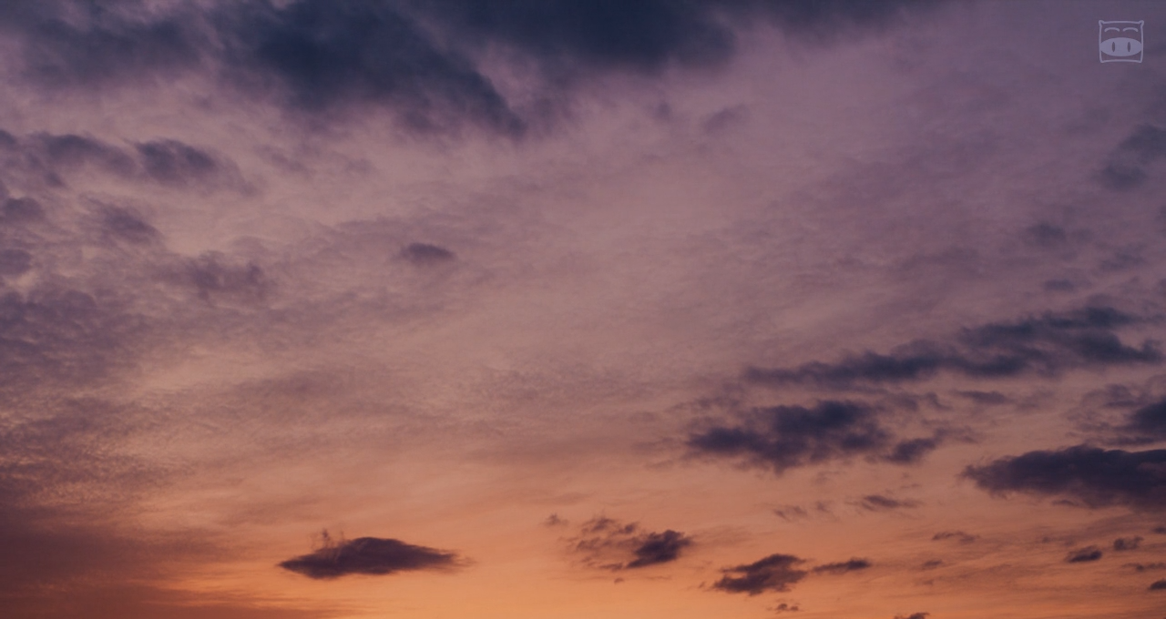 烧肉龙剧照的剧照