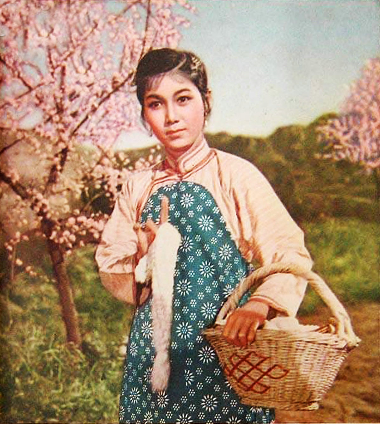 刘巧儿剧照的剧照