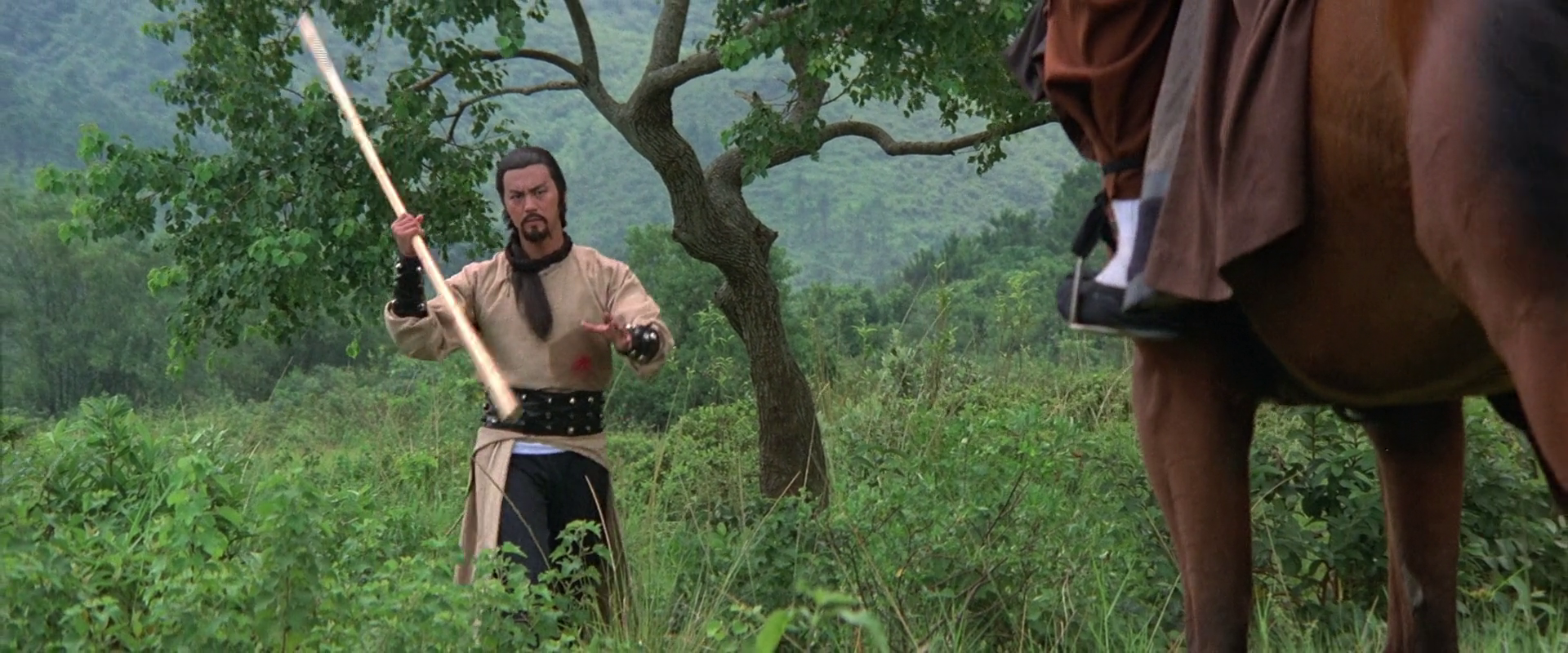 教头剧照的剧照