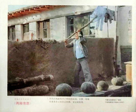 两厢情愿剧照的剧照