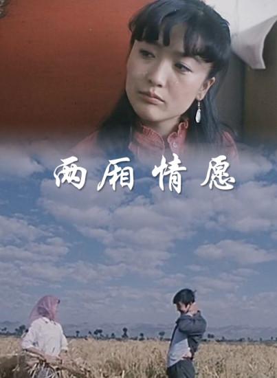 两厢情愿剧照的剧照