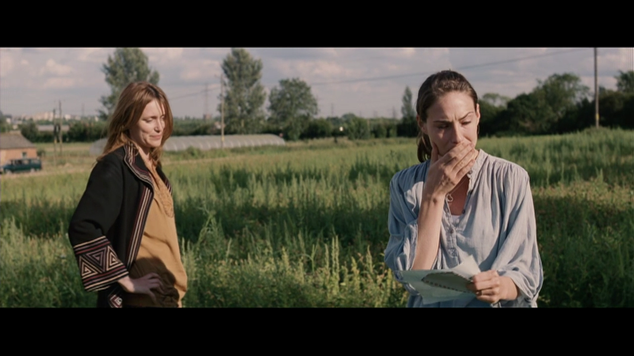 傻瓜回忆录剧照的剧照