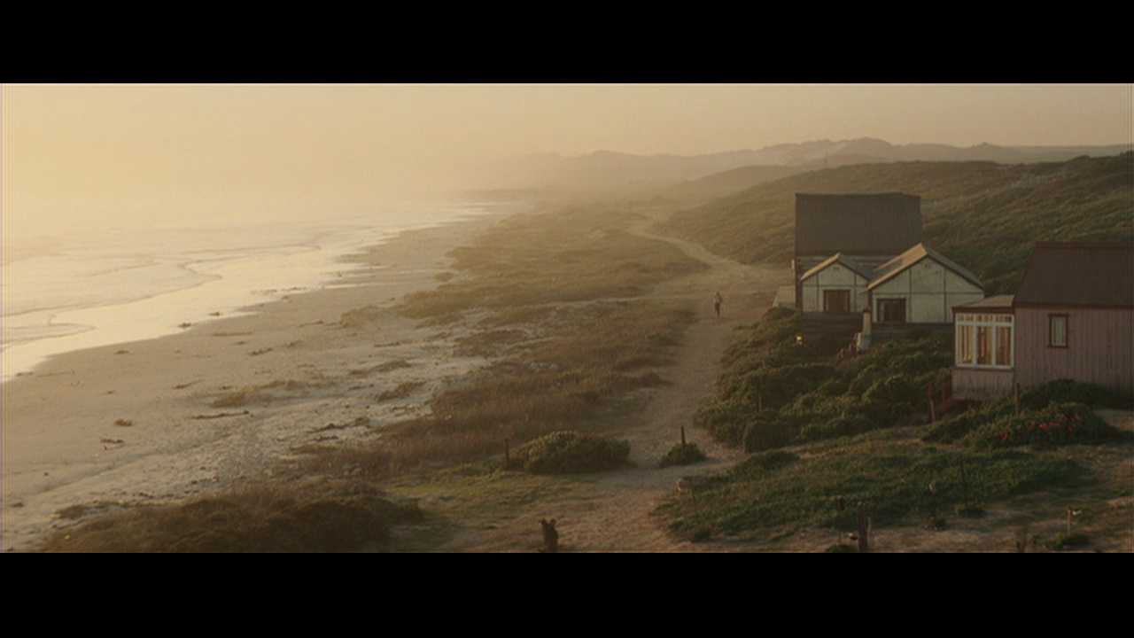 傻瓜回忆录剧照的剧照