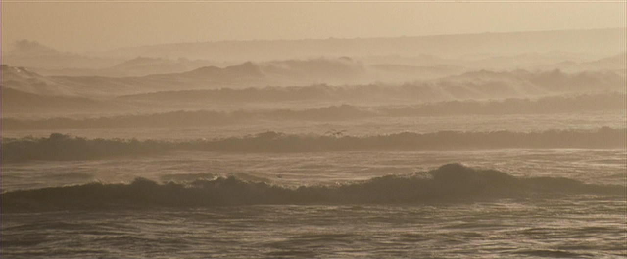 傻瓜回忆录剧照的剧照