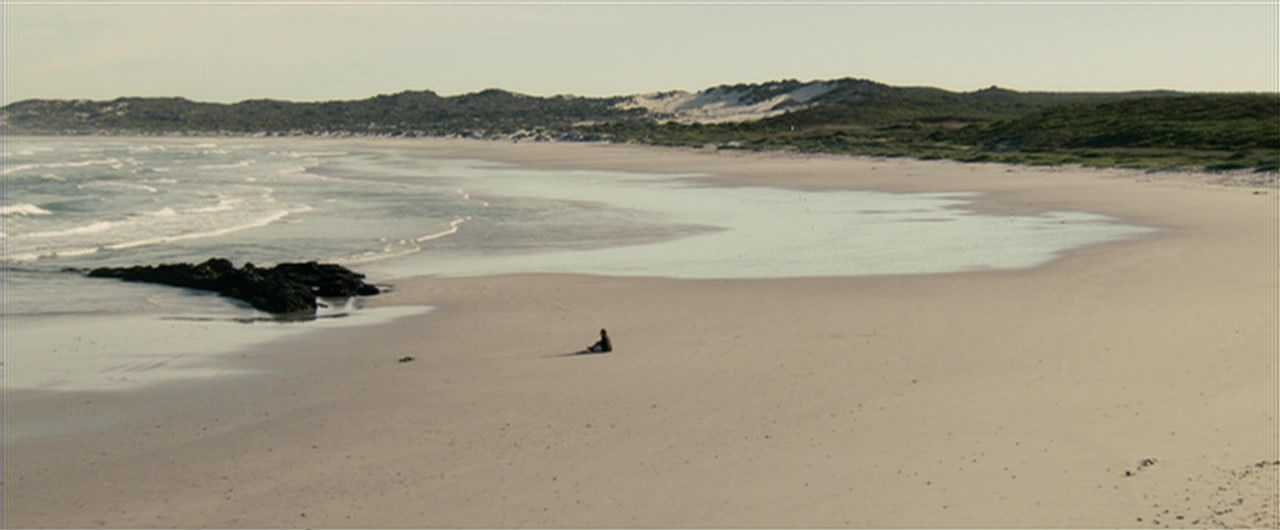 傻瓜回忆录剧照的剧照