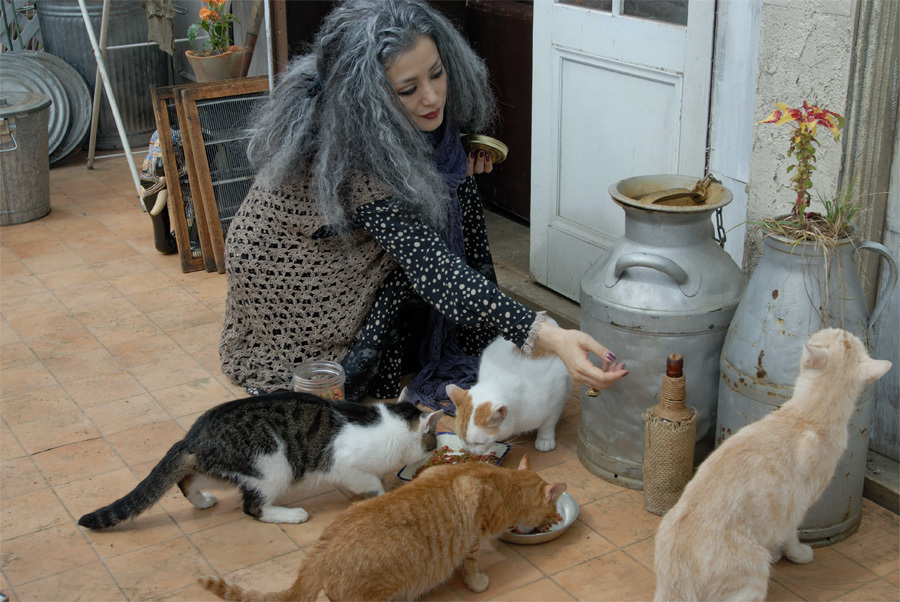 阿根廷婆婆剧照的剧照