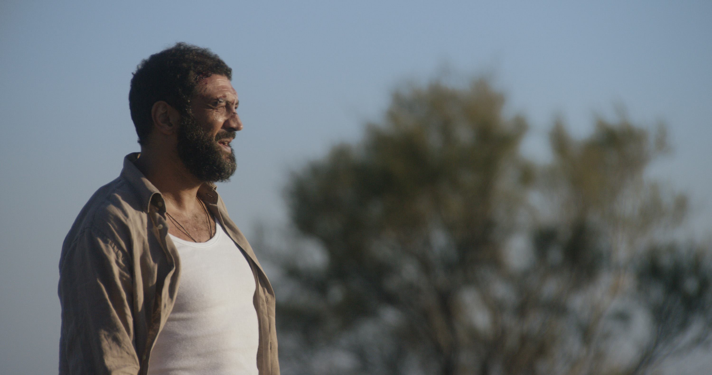 南方码头剧照的剧照