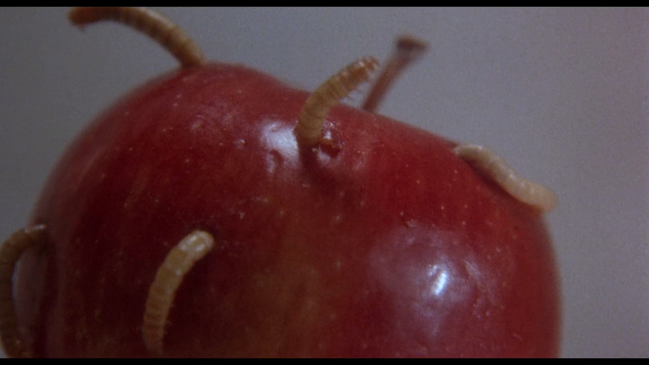 午夜心锁剧照的剧照