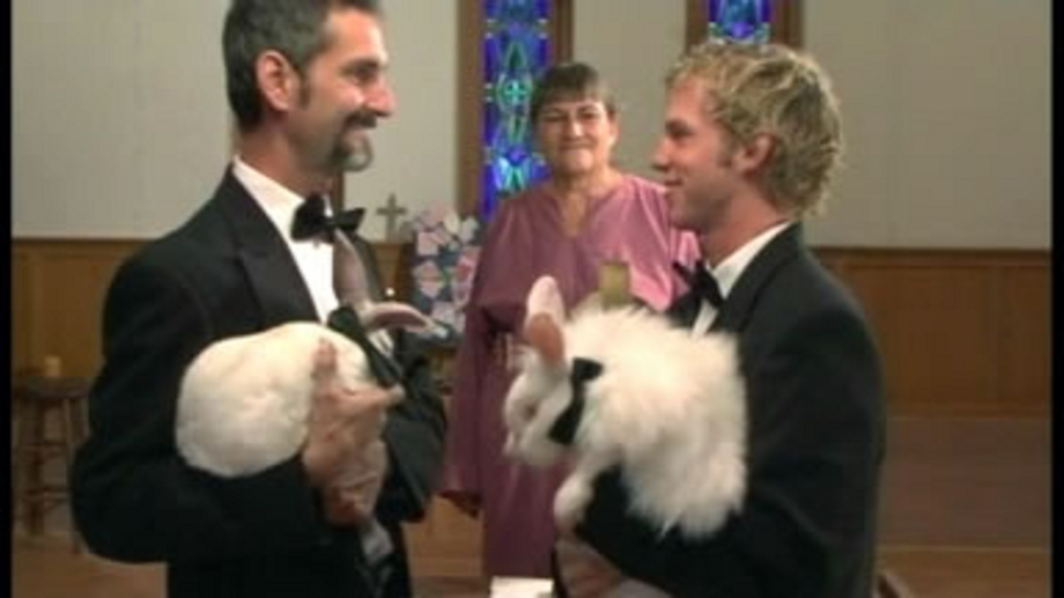 安哥拉农场剧照的剧照