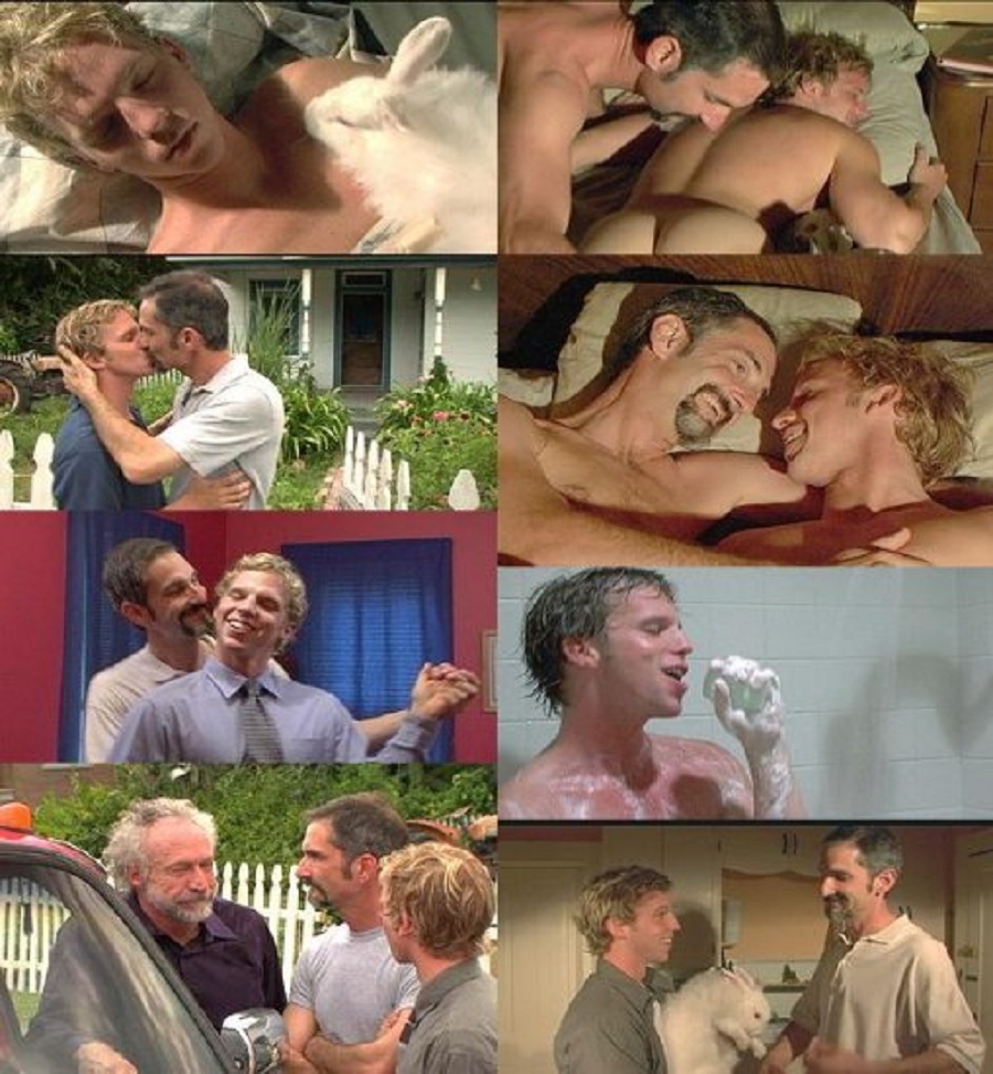 安哥拉农场剧照的剧照