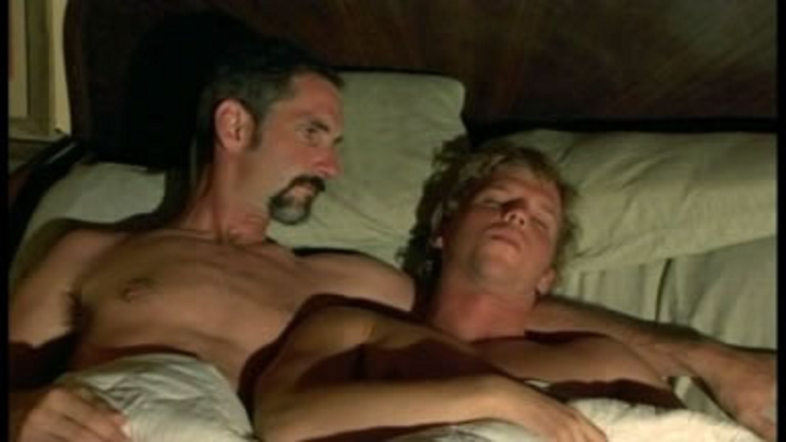 安哥拉农场剧照的剧照