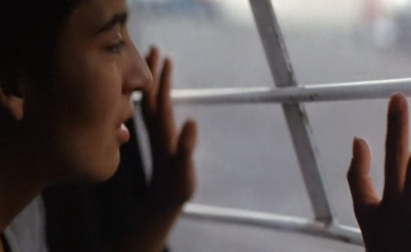 面包与玫瑰剧照的剧照