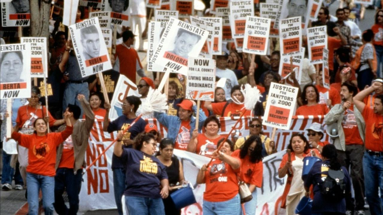 面包与玫瑰剧照的剧照