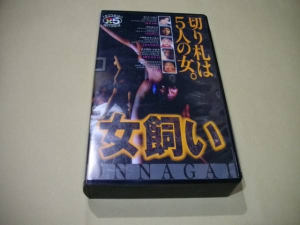 女飼い剧照的剧照