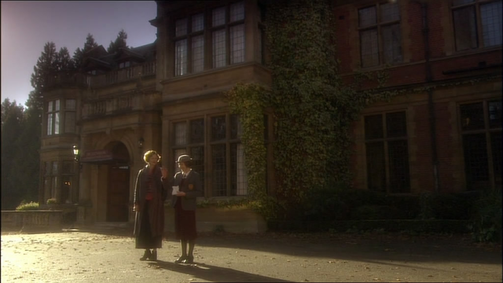 鸽群中的猫剧照的剧照