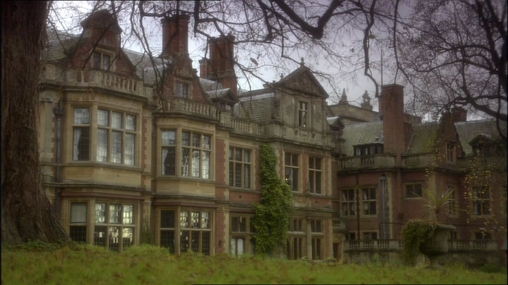 鸽群中的猫剧照的剧照