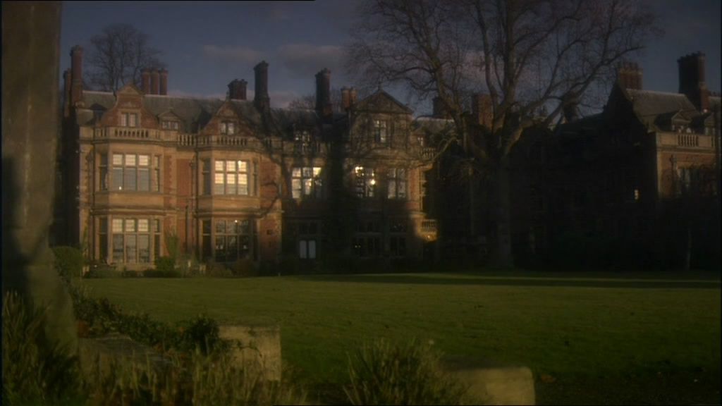 鸽群中的猫剧照的剧照