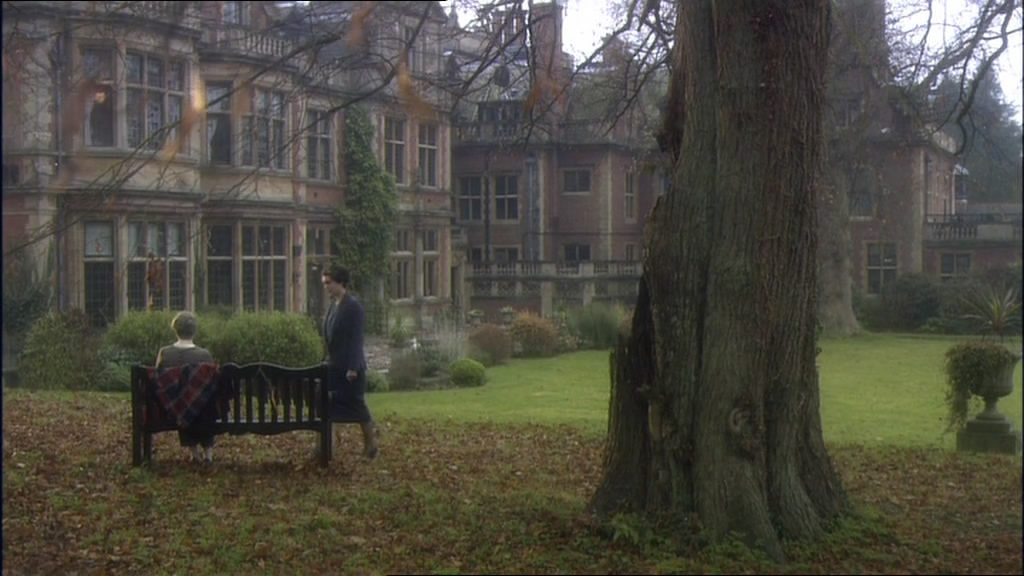 鸽群中的猫剧照的剧照