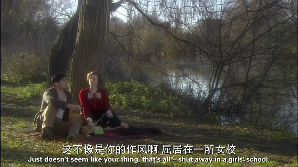 鸽群中的猫剧照的剧照