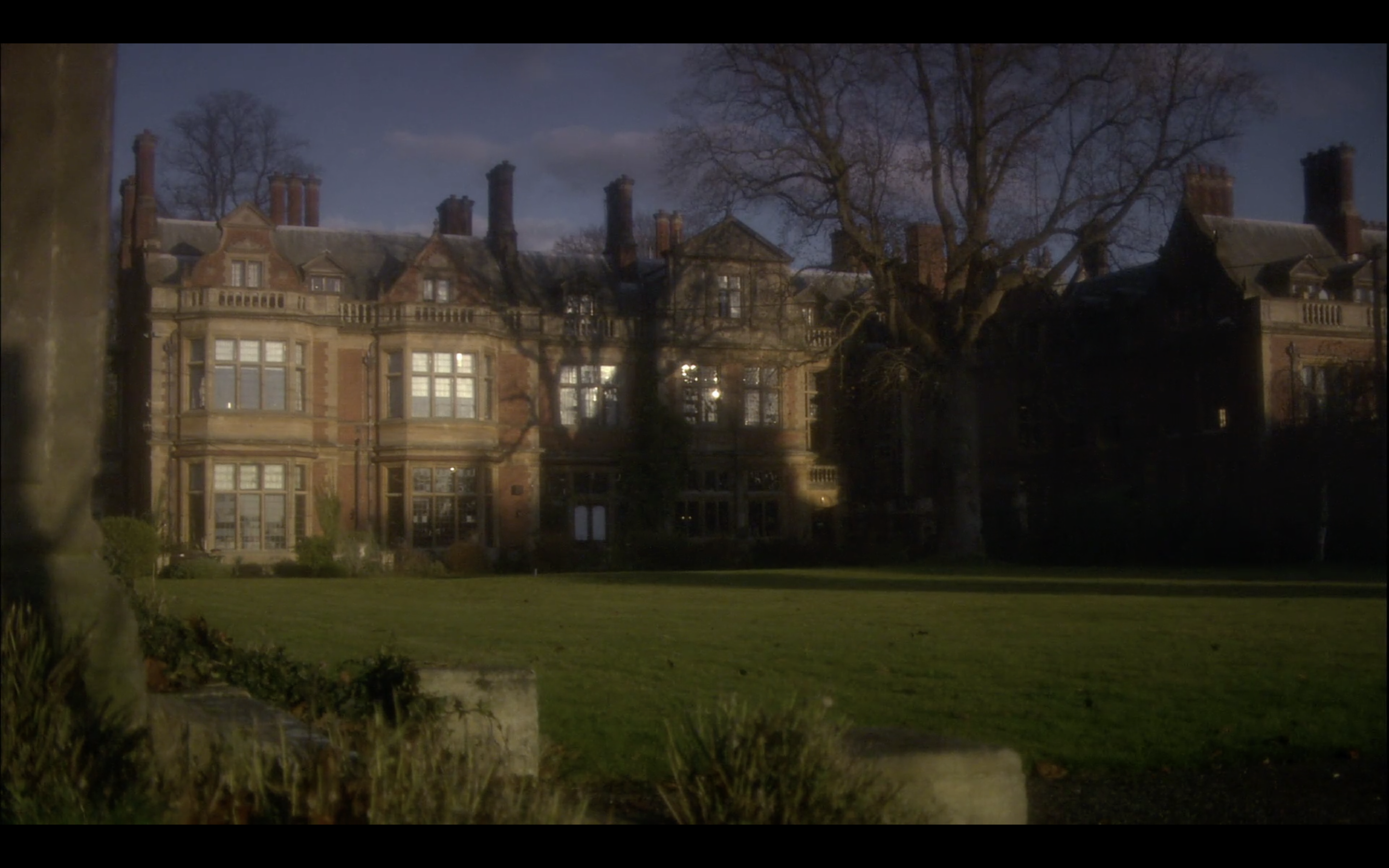 鸽群中的猫剧照的剧照