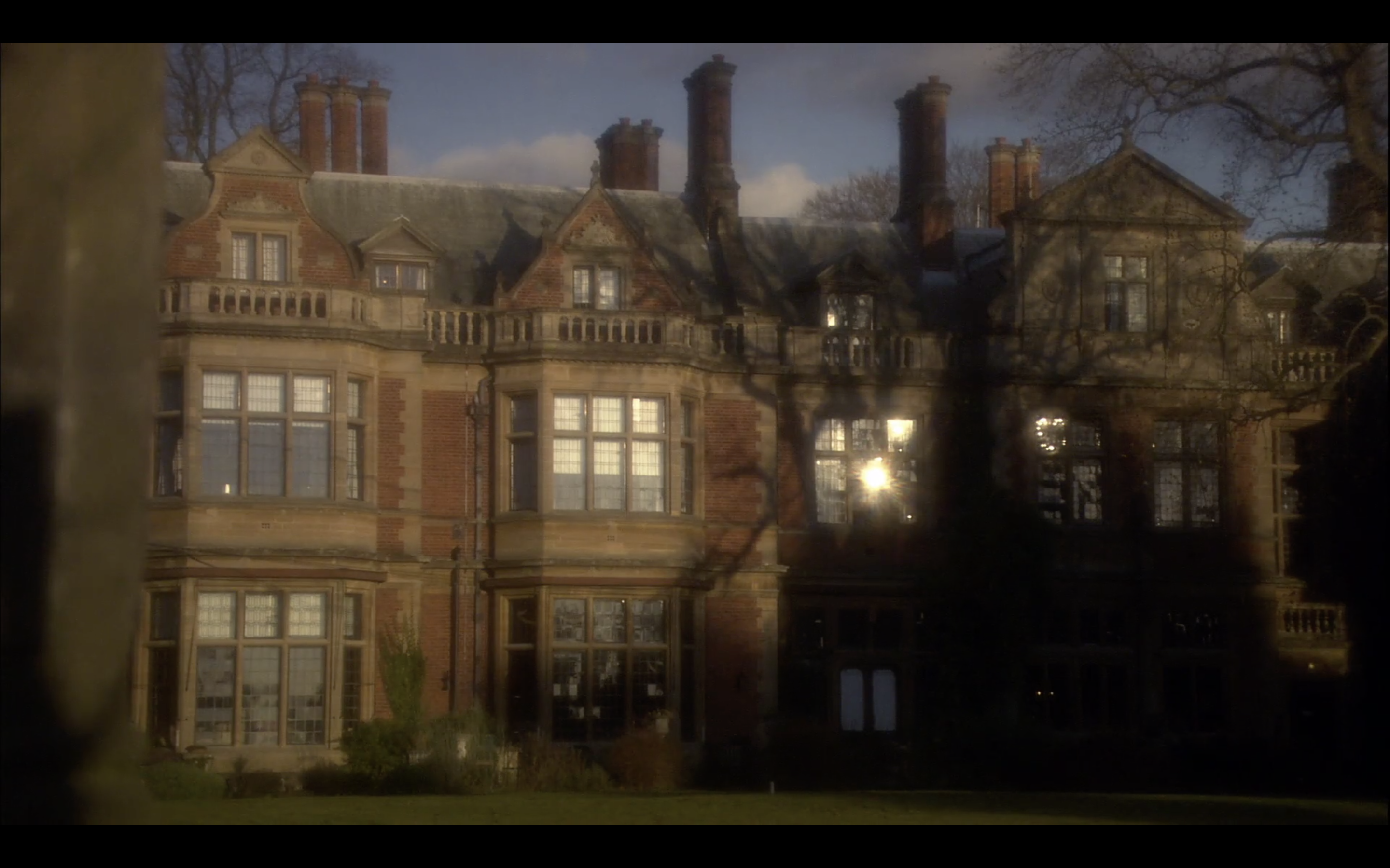 鸽群中的猫剧照的剧照