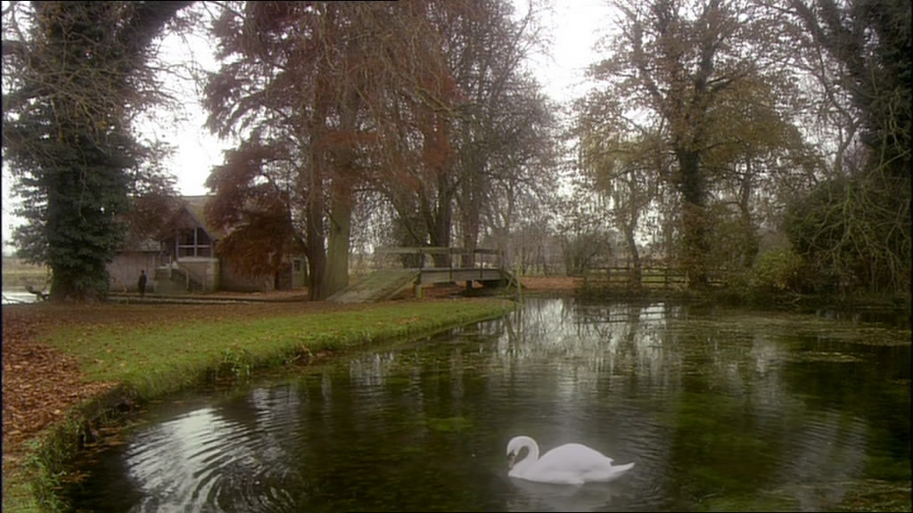 鸽群中的猫剧照的剧照