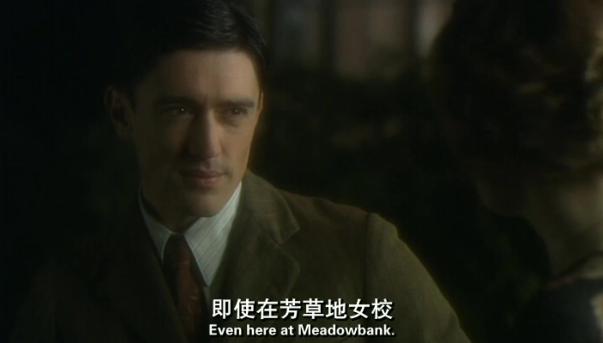 鸽群中的猫剧照的剧照