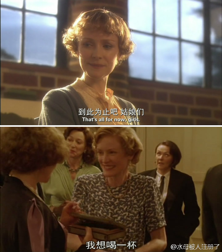 鸽群中的猫剧照的剧照