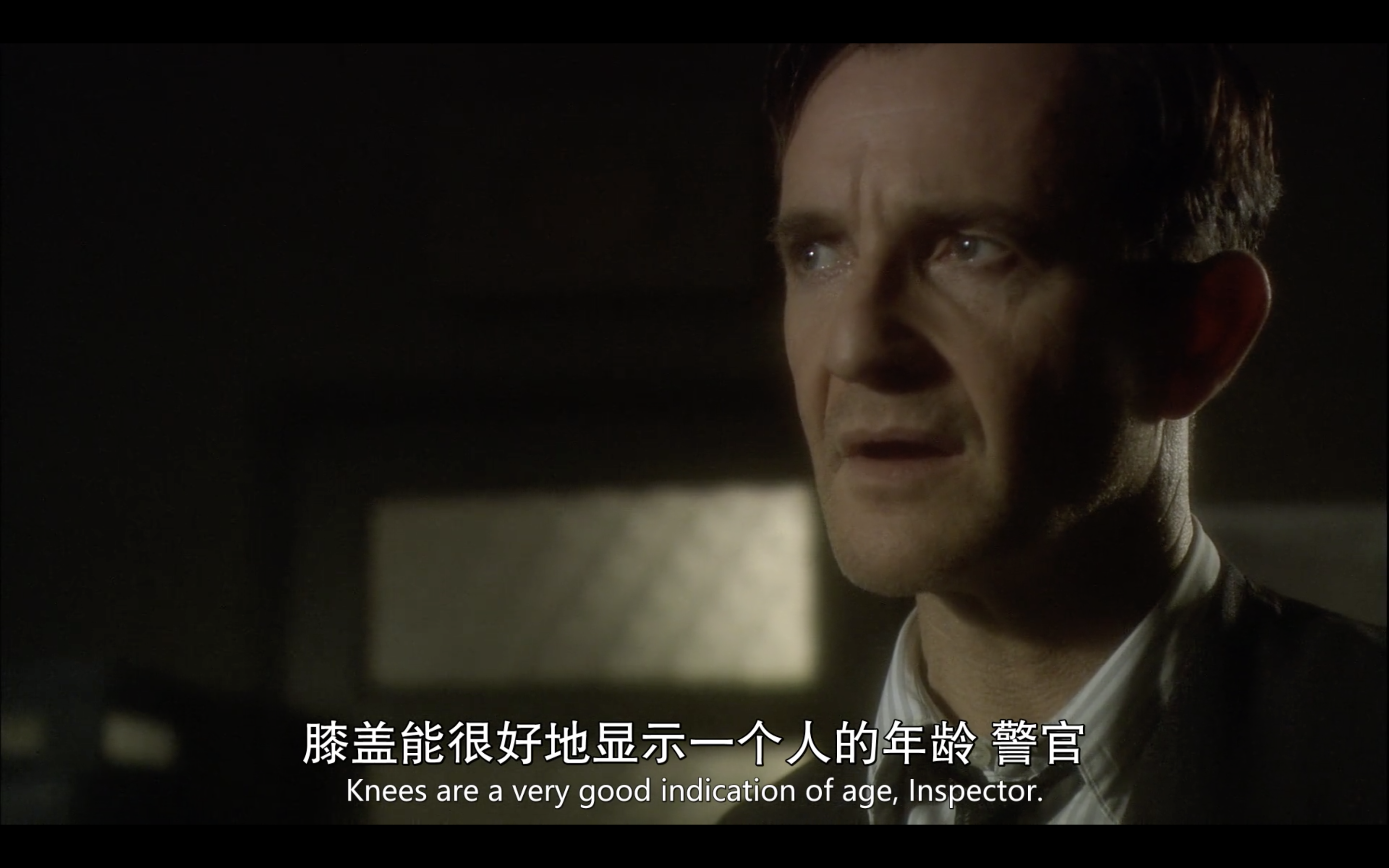 鸽群中的猫剧照的剧照