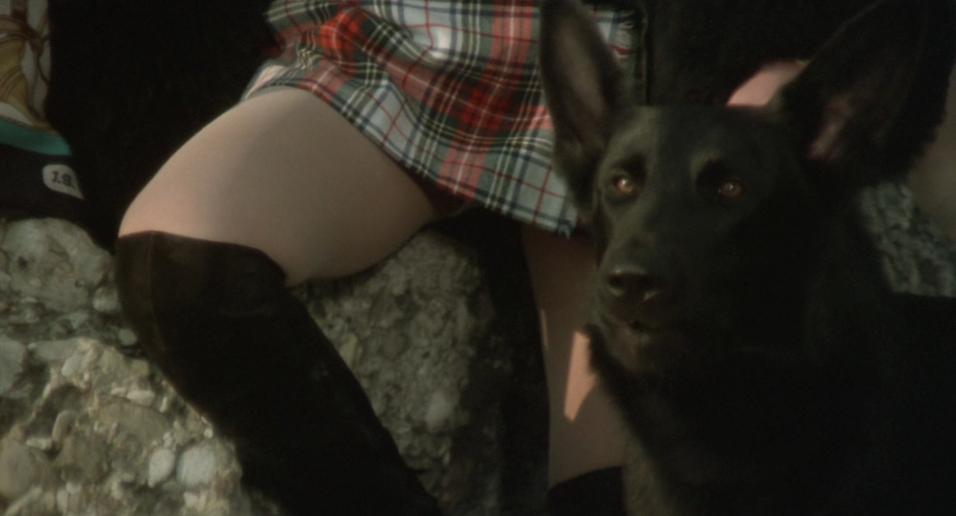 生活和犯罪的故事剧照的剧照