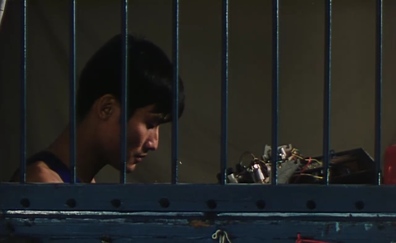 爱在别乡的季节剧照的剧照