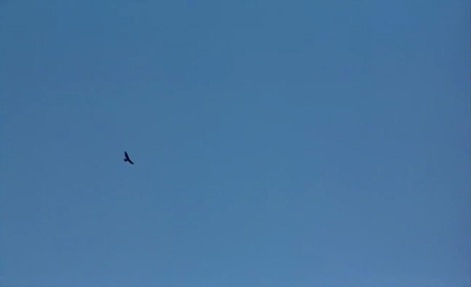 萨满剧照的剧照