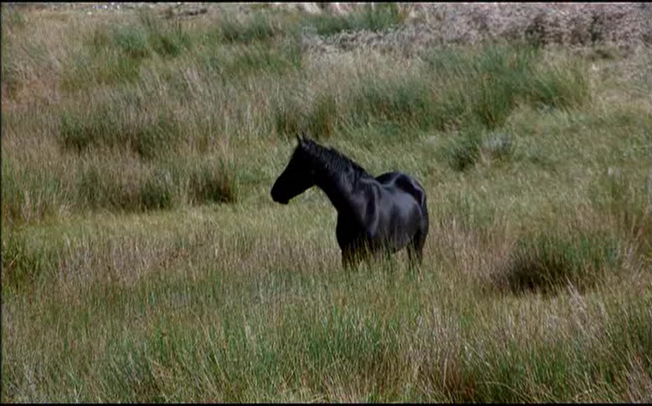 萨满剧照的剧照