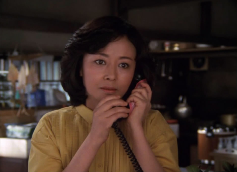 刑事物语3：片山刑警在海岛剧照的剧照