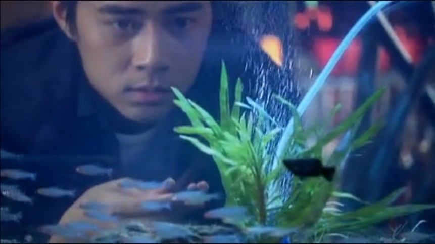 魔术男剧照的剧照