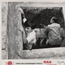 九九九海滩命案剧照