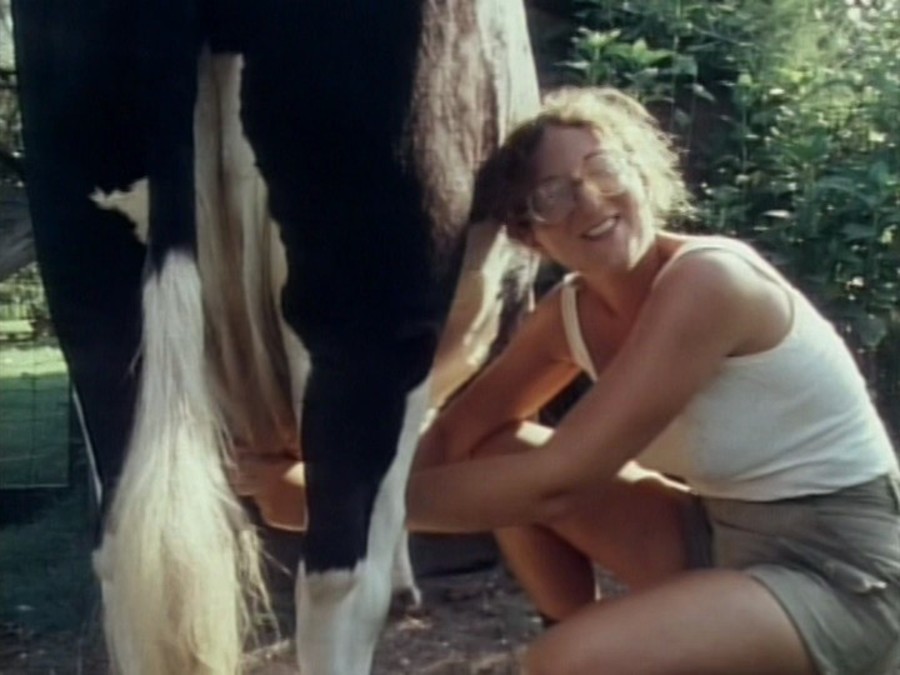 谢尔曼的征程剧照的剧照