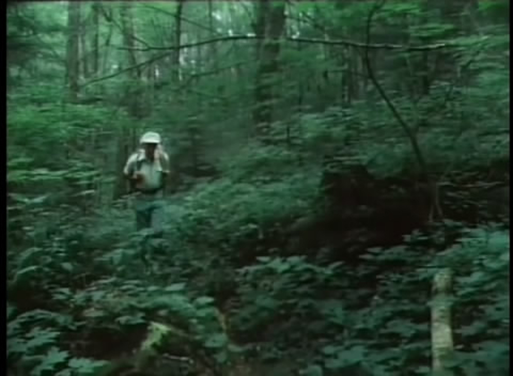 谢尔曼的征程剧照的剧照