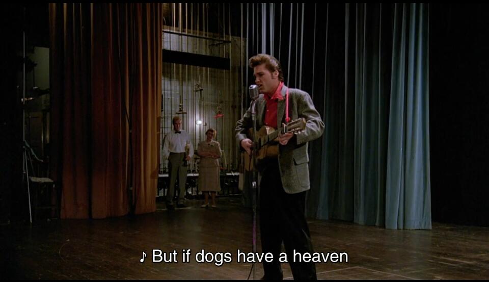 猫王艾尔维斯·普雷斯利剧照的剧照