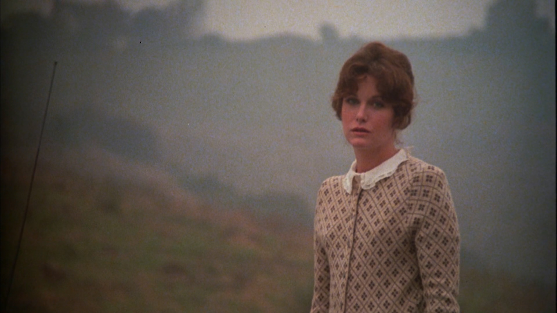 猫王艾尔维斯·普雷斯利剧照的剧照