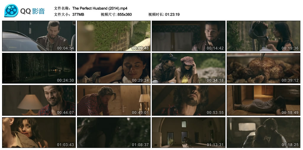 完美丈夫剧照的剧照