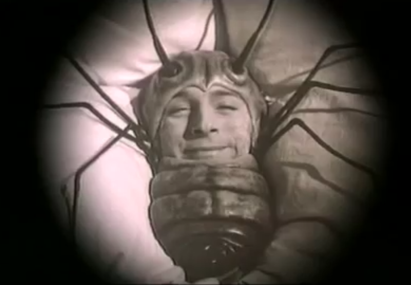 弗兰兹·卡夫卡的美妙人生剧照的剧照