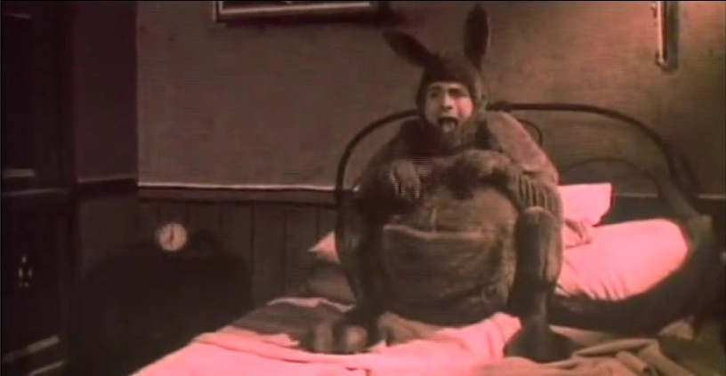 弗兰兹·卡夫卡的美妙人生剧照的剧照